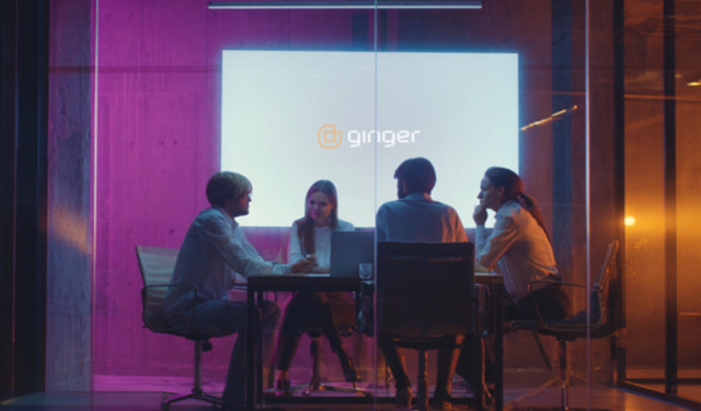 ginger-itt-4156-fi