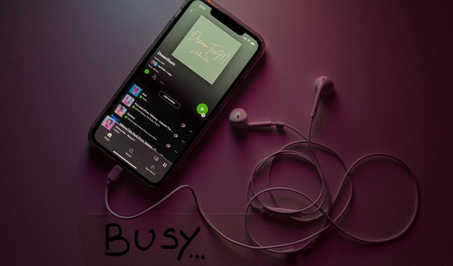 spotify-6063-fi