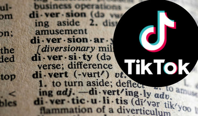 termini-tiktok-4212-fi