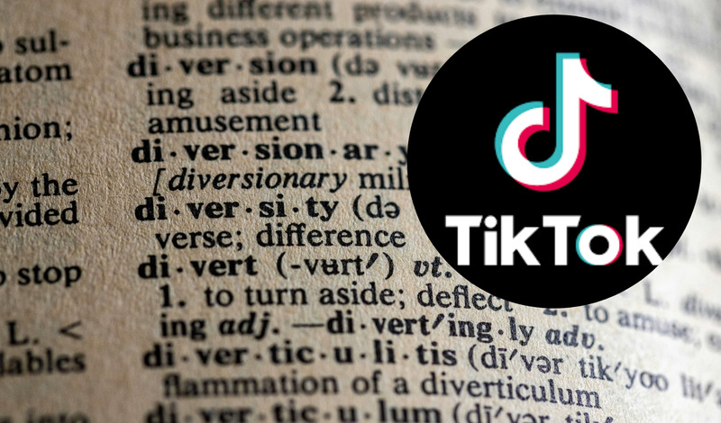 termini-tiktok-4212-fi