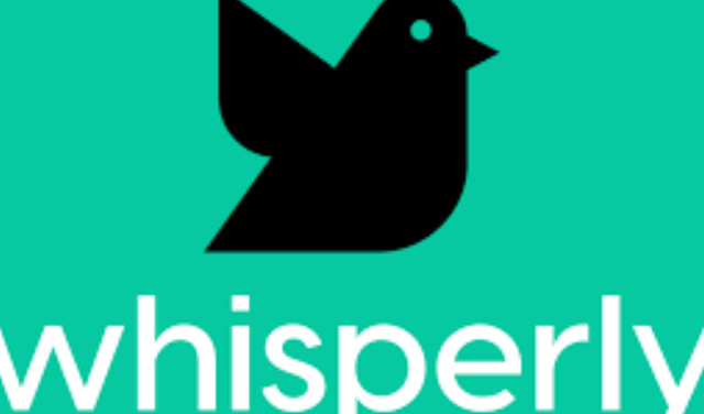 whisperly-ai-4831-fi